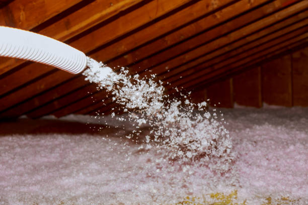 Best Residential Insulation Services  in Inman, SC