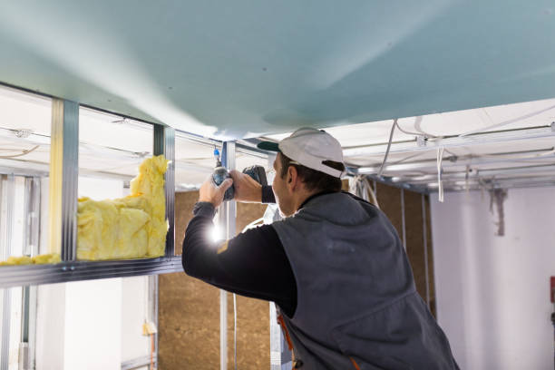 Insulation Repair Services in Inman, SC
