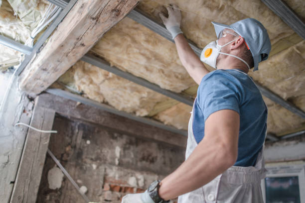 Best Professional Insulation Contractor  in Inman, SC