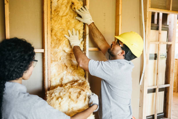Best Wall Insulation Contractor  in Inman, SC
